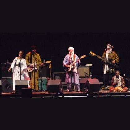 Tinariwen, cultural reference